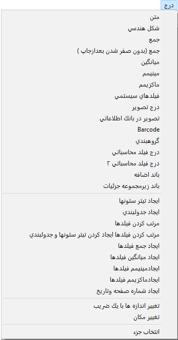 منوی درج در گزارش ساز Quick Report در حسابگر